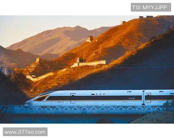 杭州极限运动队的拼搏之路：勇敢追梦的真实故事与奋斗纪实