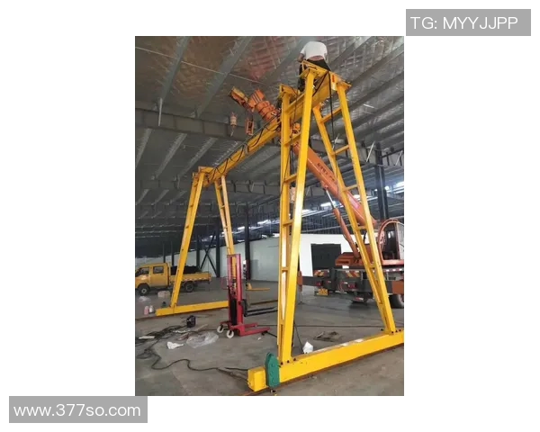 龙门架多维轨道设计解锁135种训练变式