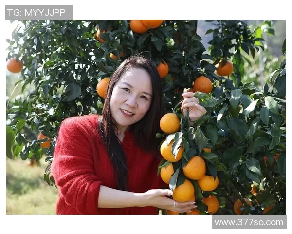 果园采摘之乐：体验自然美景与丰收的完美融合